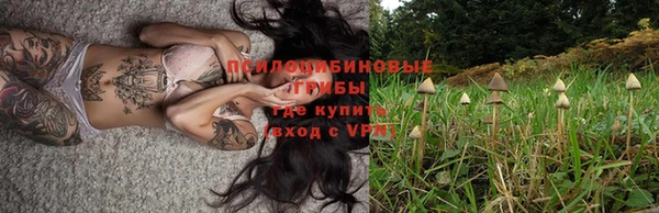 ECSTASY Абаза
