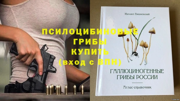 дмт Абдулино